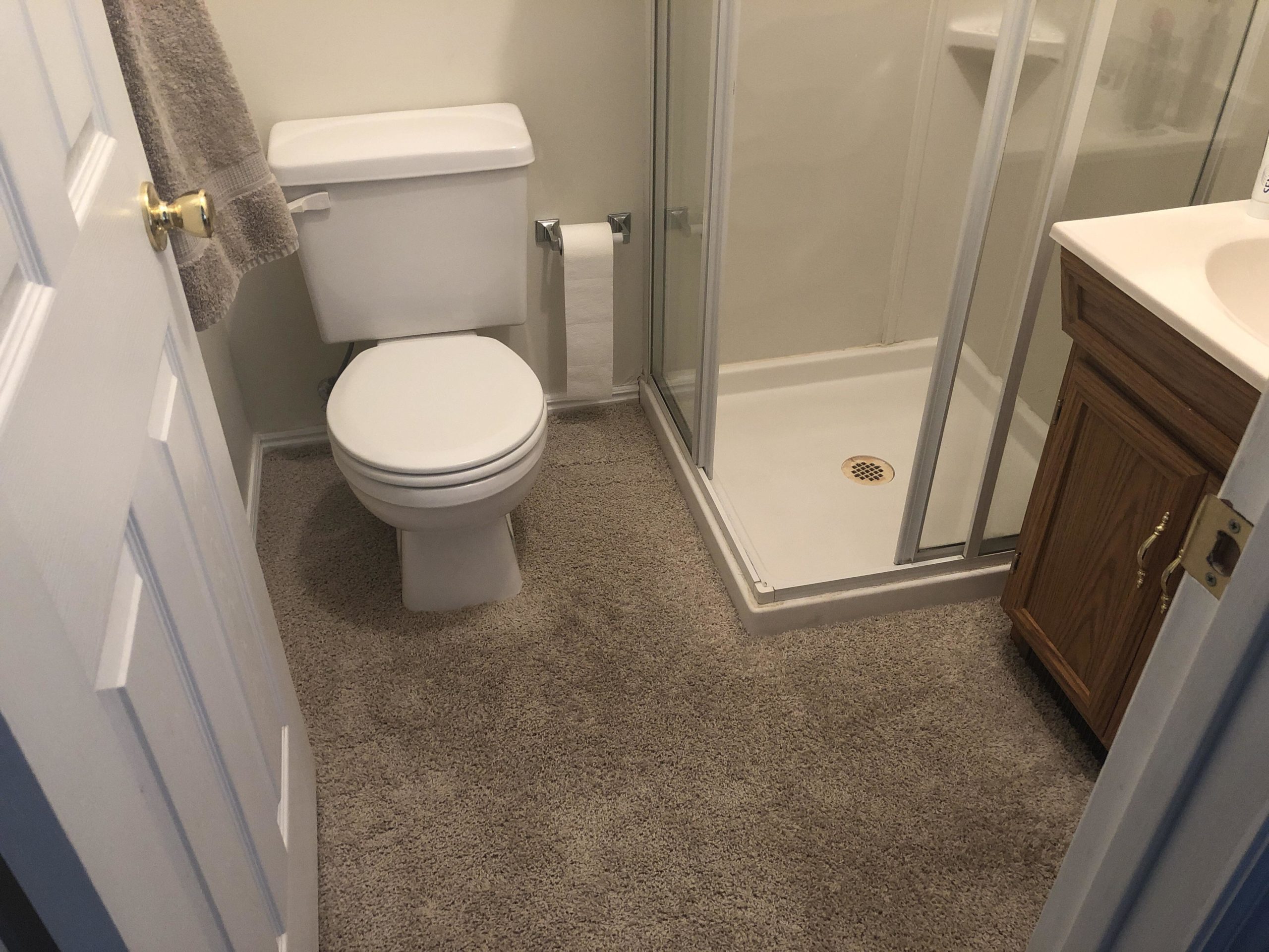 Carpet Bathroom