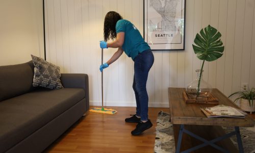1 Apartment Cleaning Service In Bellevue, WA
